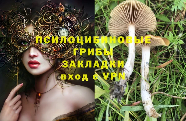 дмт Абаза