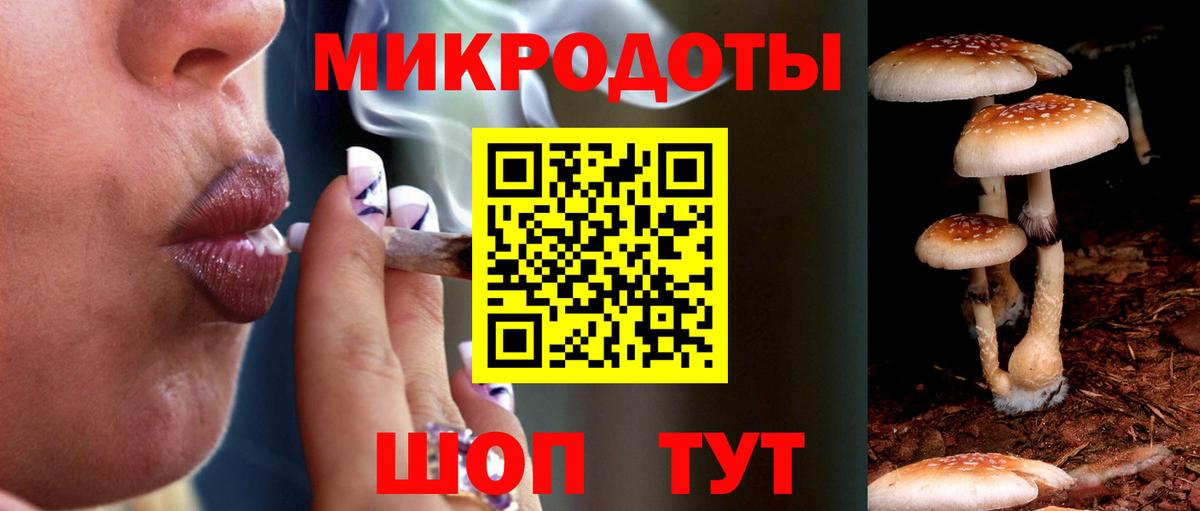 Ишимбай  Галлюциногенные грибы Cubensis  Вход с VPN  Псилоцибиновые грибы GOLDEN TEACHER 
